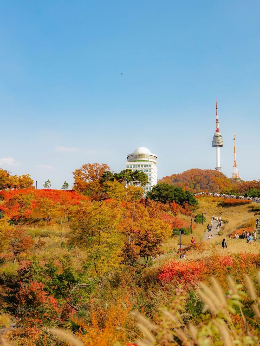 Seoul-Seoul Namsan Park Baekbeom Square, 🦙enjoy the most beautiful autumn in Korea