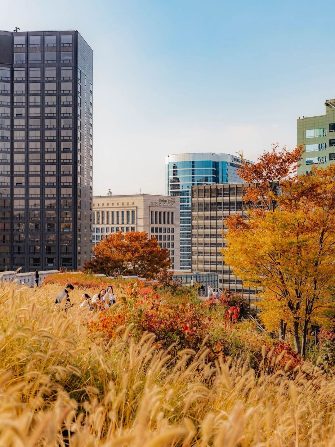 Seoul-Seoul Namsan Park Baekbeom Square, 🦙enjoy the most beautiful autumn in Korea