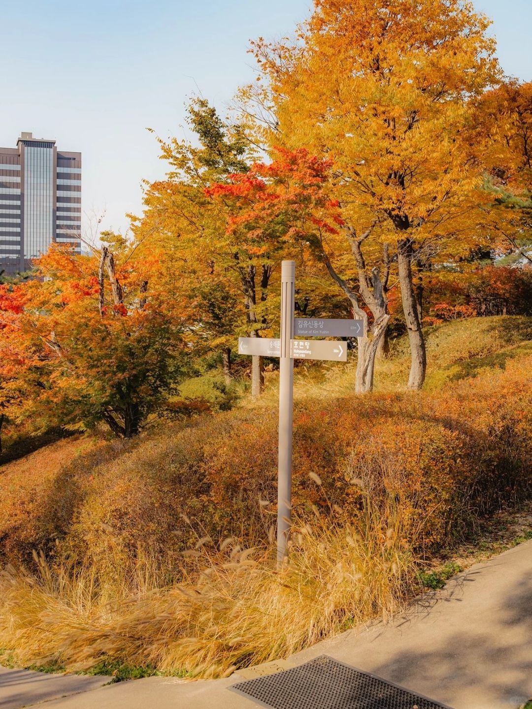 Seoul-Seoul Namsan Park Baekbeom Square, 🦙enjoy the most beautiful autumn in Korea