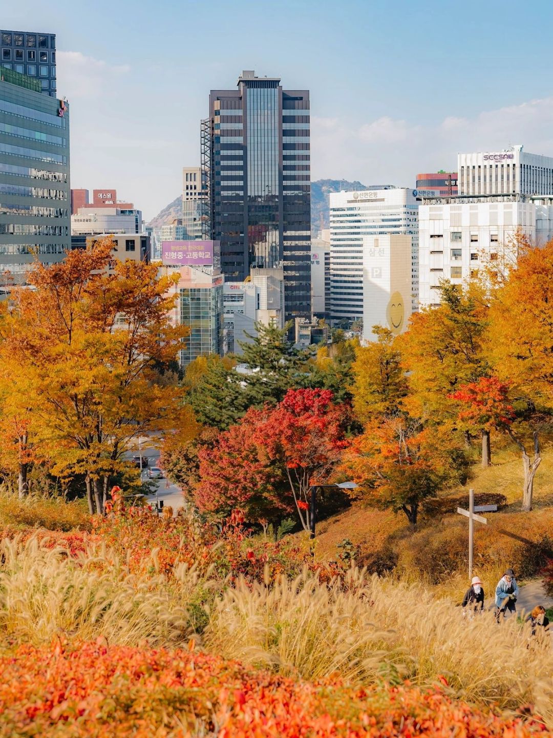 Seoul-Seoul Namsan Park Baekbeom Square, 🦙enjoy the most beautiful autumn in Korea