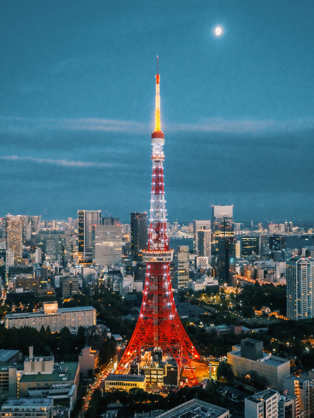 Tokyo-Enjoy the Tokyo Metropolitan Area from Azabudai Hills, Mount Fuji if the weather is good