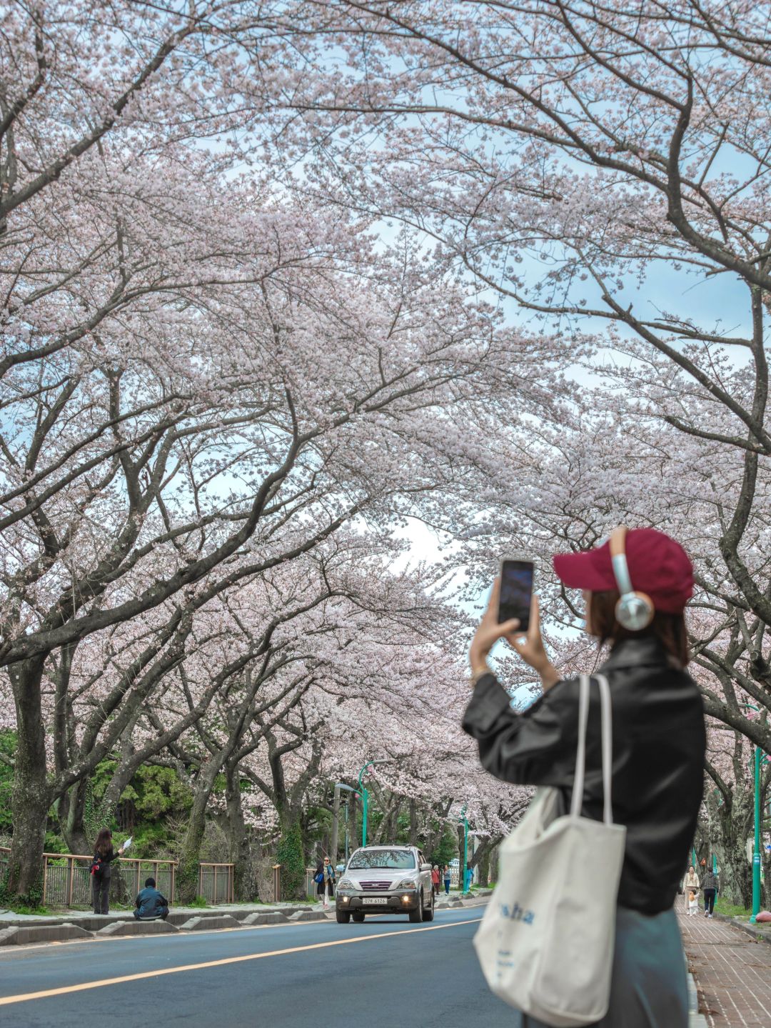 Busan/Jeju-Travel guide to Jeju Udo Island, Seongsan Ilchulbong, Woljeong-ri, and Rainbow Highway