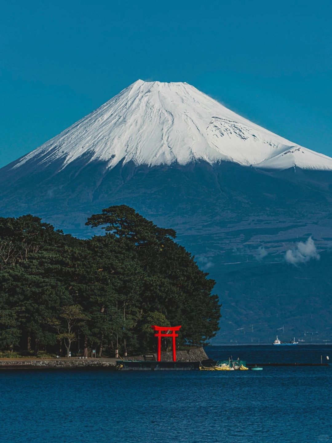 Tokyo-A literary youth's trip to Tokyo-Izu,🌟 visiting Mount Fuji, waterfall hot springs, sea torii and trains