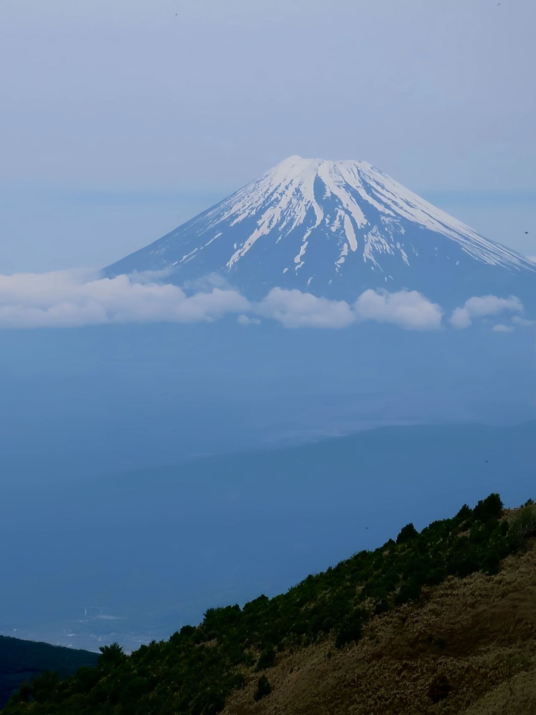 Tokyo-A literary youth's trip to Tokyo-Izu,🌟 visiting Mount Fuji, waterfall hot springs, sea torii and trains