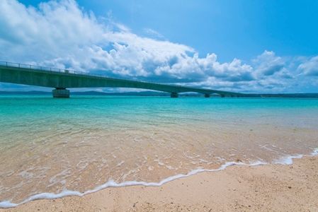 Okinawa-Kouri, the "Island of Love", Okinawa's "Adam and Eve" reproduce in the reef caves of Chigunu Beach