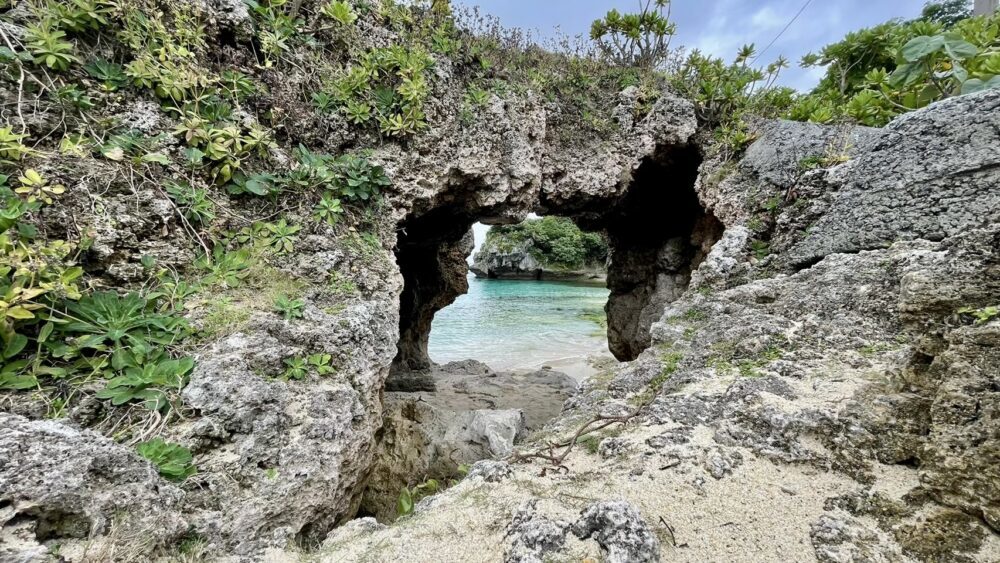 Okinawa-Kouri, the "Island of Love", Okinawa's "Adam and Eve" reproduce in the reef caves of Chigunu Beach