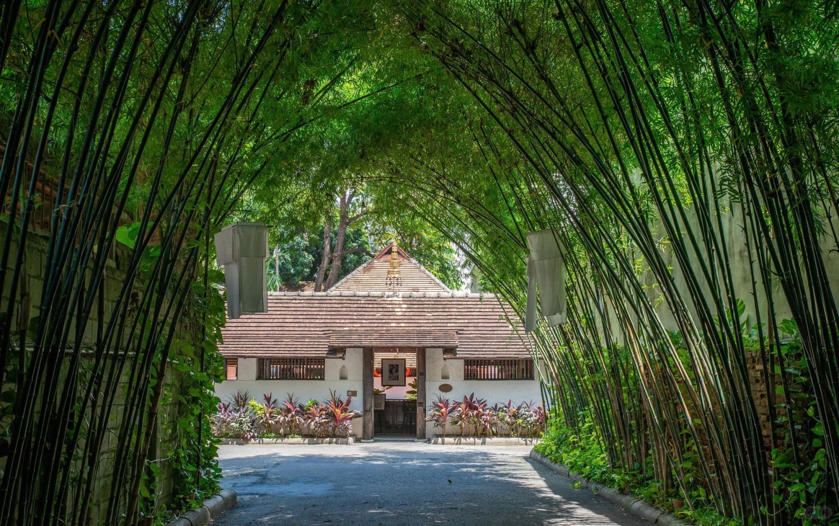 Chiang Mai-TAMARIND VILLAGE Hotel in Chiang Mai Ancient City, flowers bloom in every corner