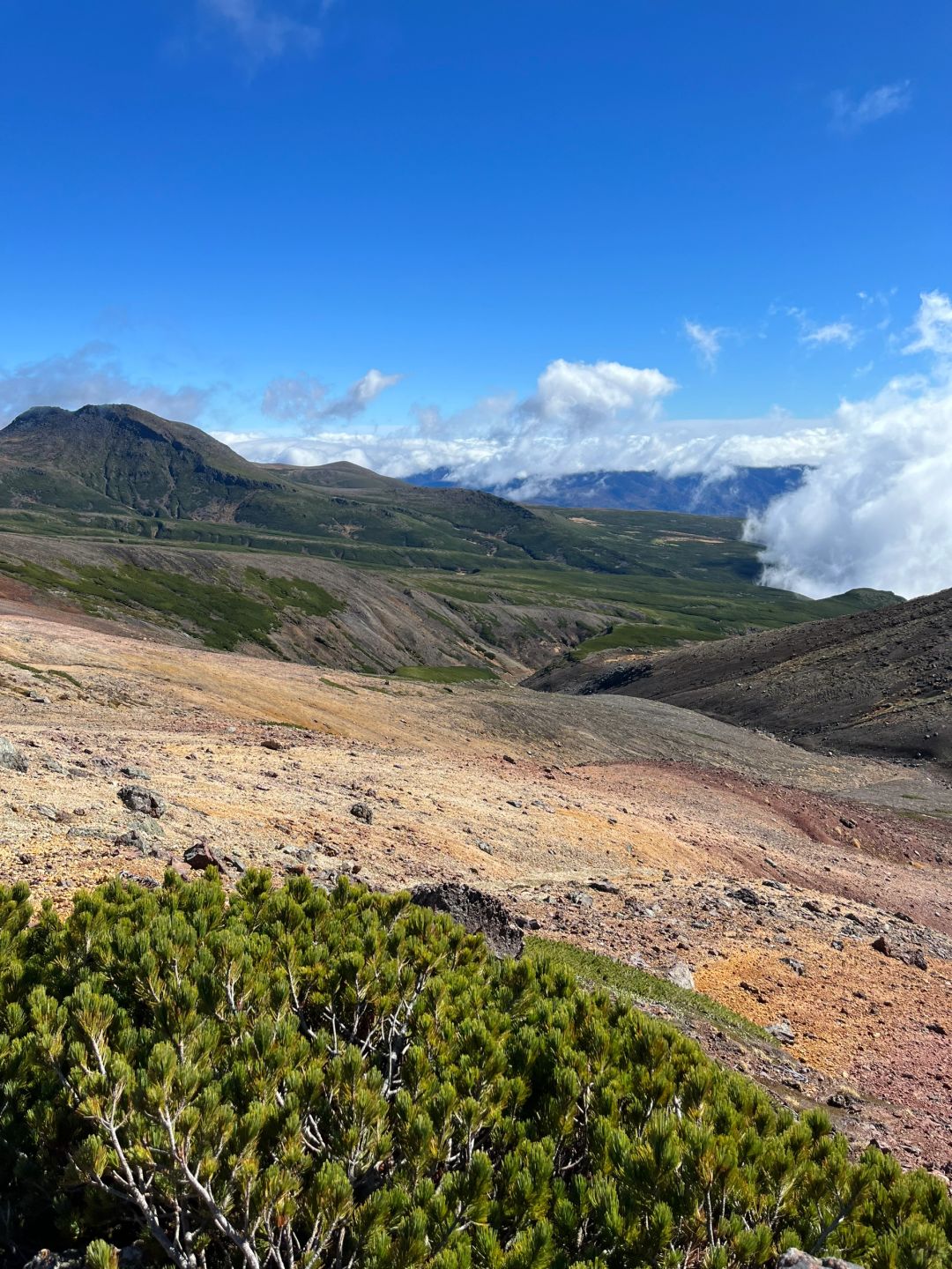 Sapporo/Hokkaido-Hokkaido Hiking, Daisetsuzan National Park at 1600m above sea level overlooking the crater