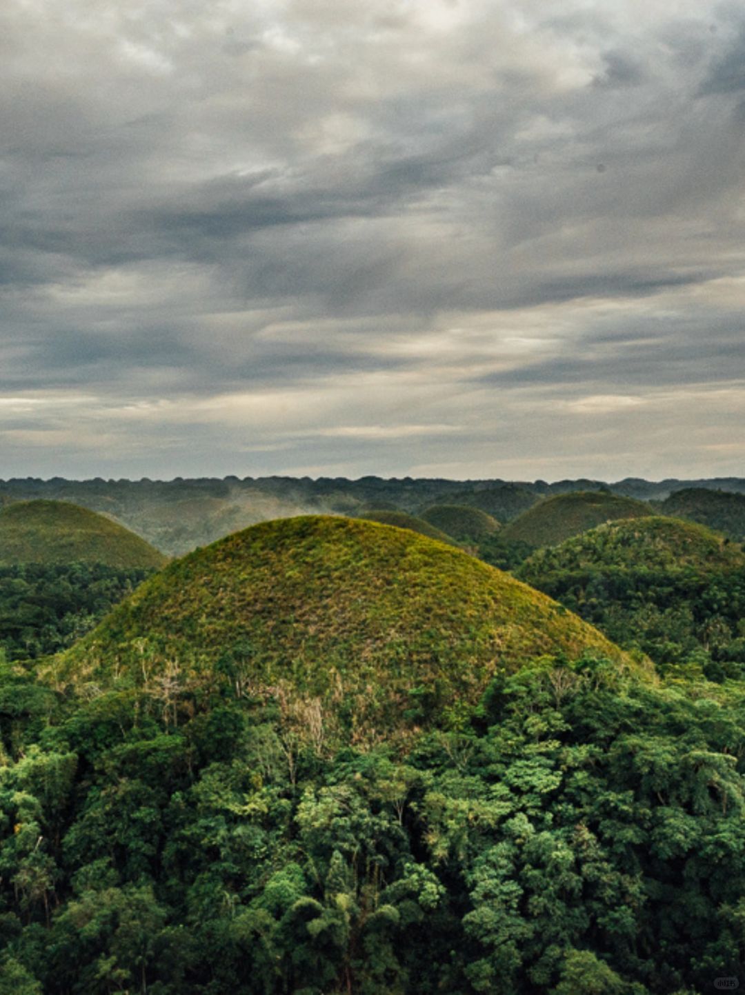 Cebu-Bohol Oslo and Moalboal Undersea Adventure, Rich Cultural Heritage and Natural Landscapes