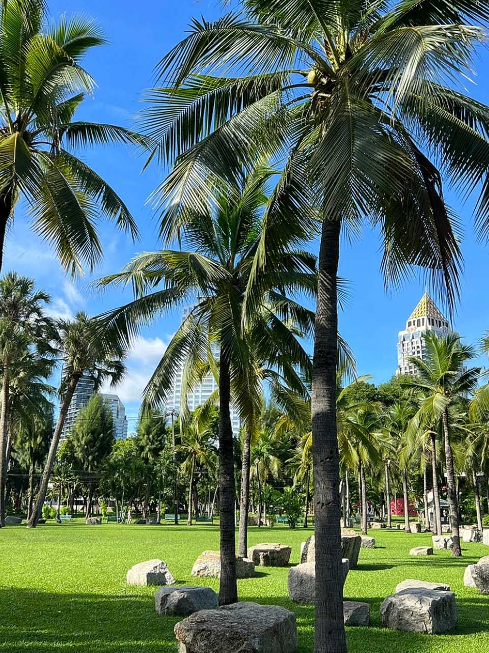 Bangkok-Lumphini Park in Bangkok, a free and open ecological environment park in Southeast Asia