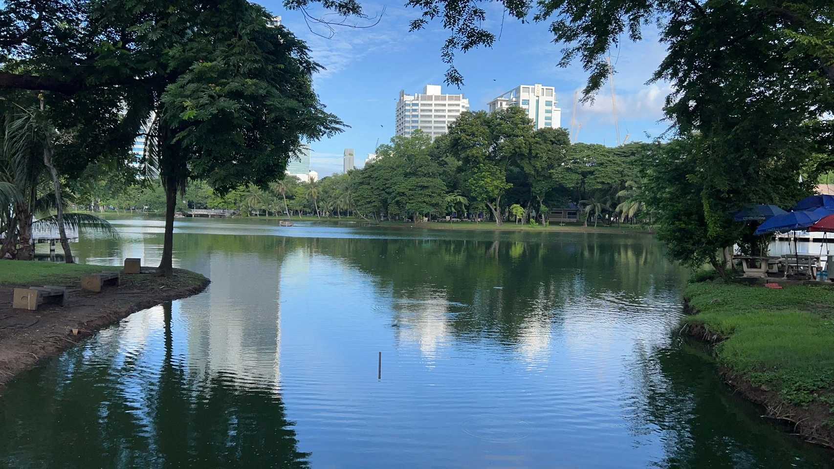 Bangkok-Lumphini Park in Bangkok, a free and open ecological environment park in Southeast Asia