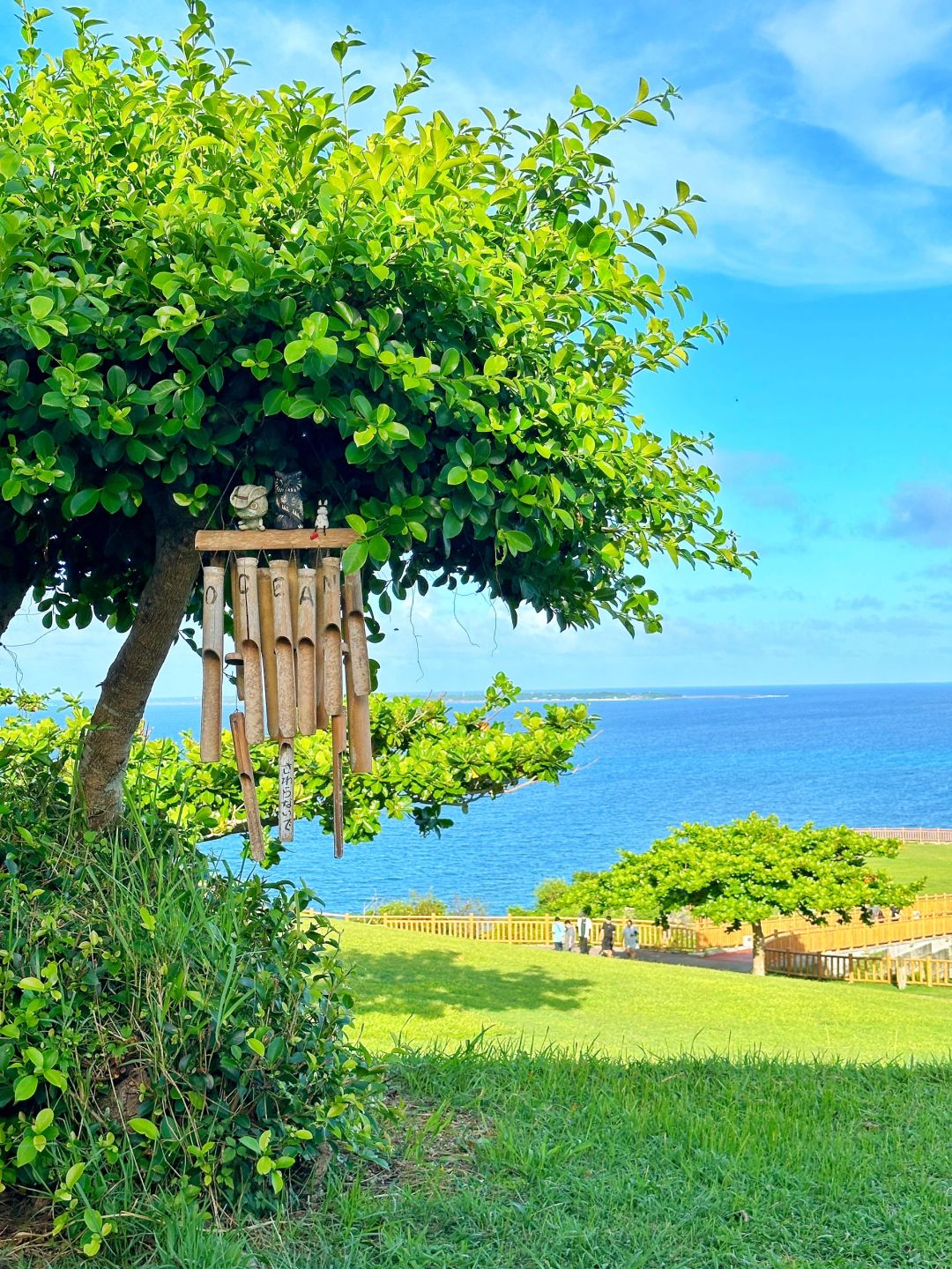 Okinawa-Travel to Japan, 🛺visit Okinawa Kokusai-dori Shinbara Beach and Cape Chinen Beach Park