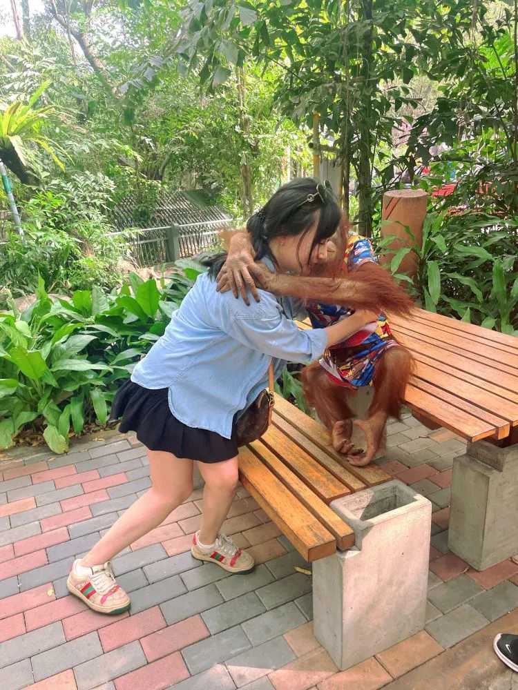 Bangkok-Visit the Bangkok Zoo🦓 in Thailand and play games and take photos with orangutans