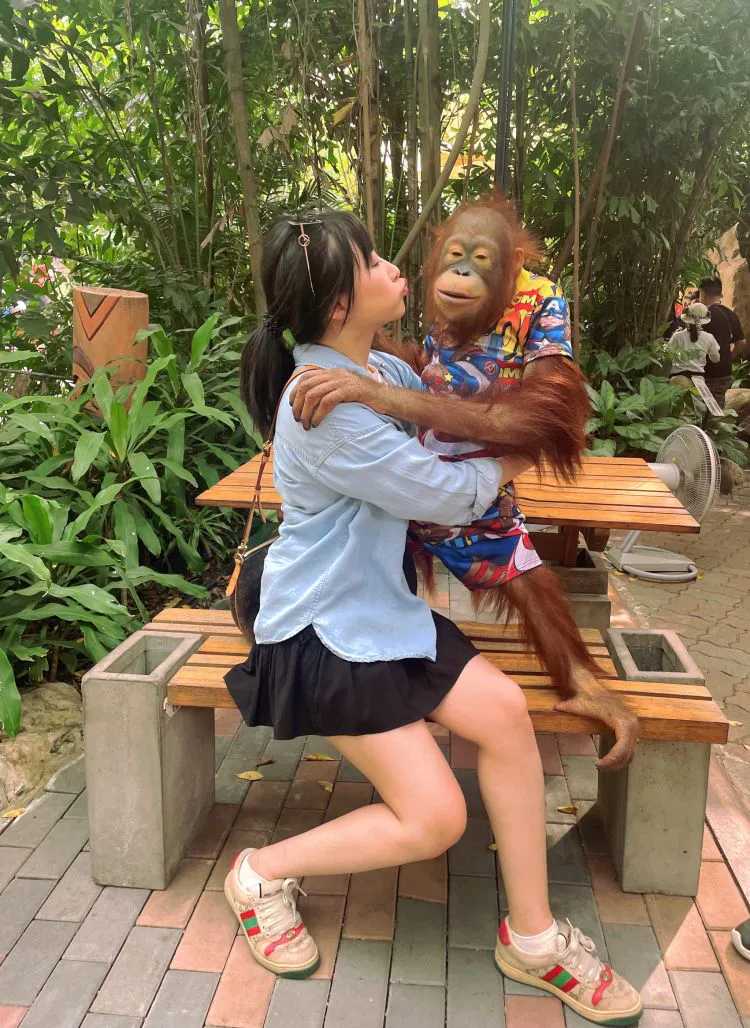 Bangkok-Visit the Bangkok Zoo🦓 in Thailand and play games and take photos with orangutans