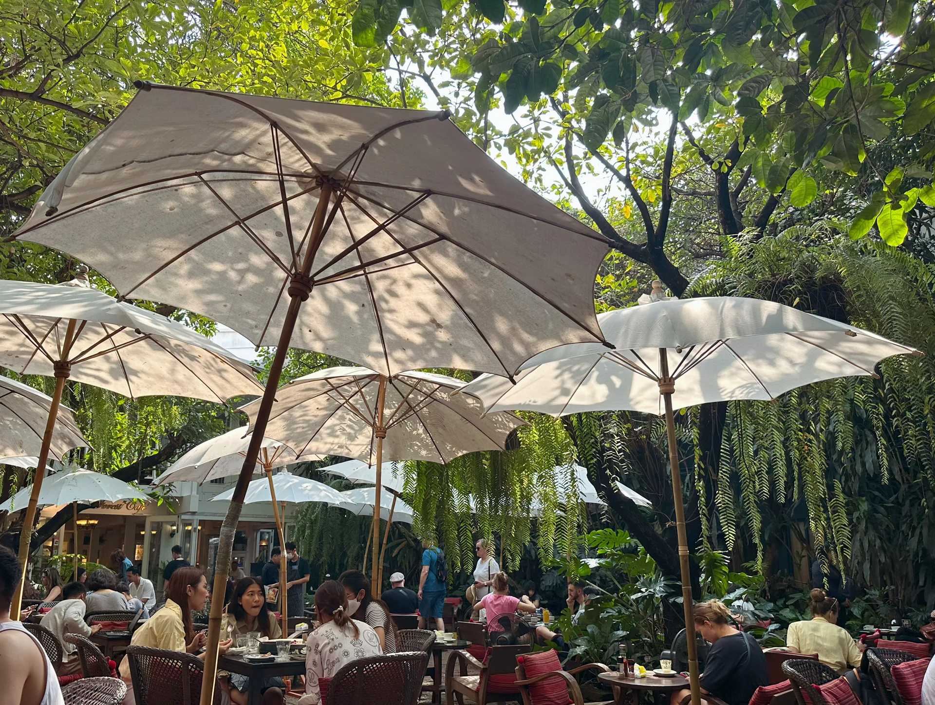 Chiang Mai-Fern Forest Cafe, 🐦a popular restaurant in Chiang Mai Old Town, is a garden in the forest