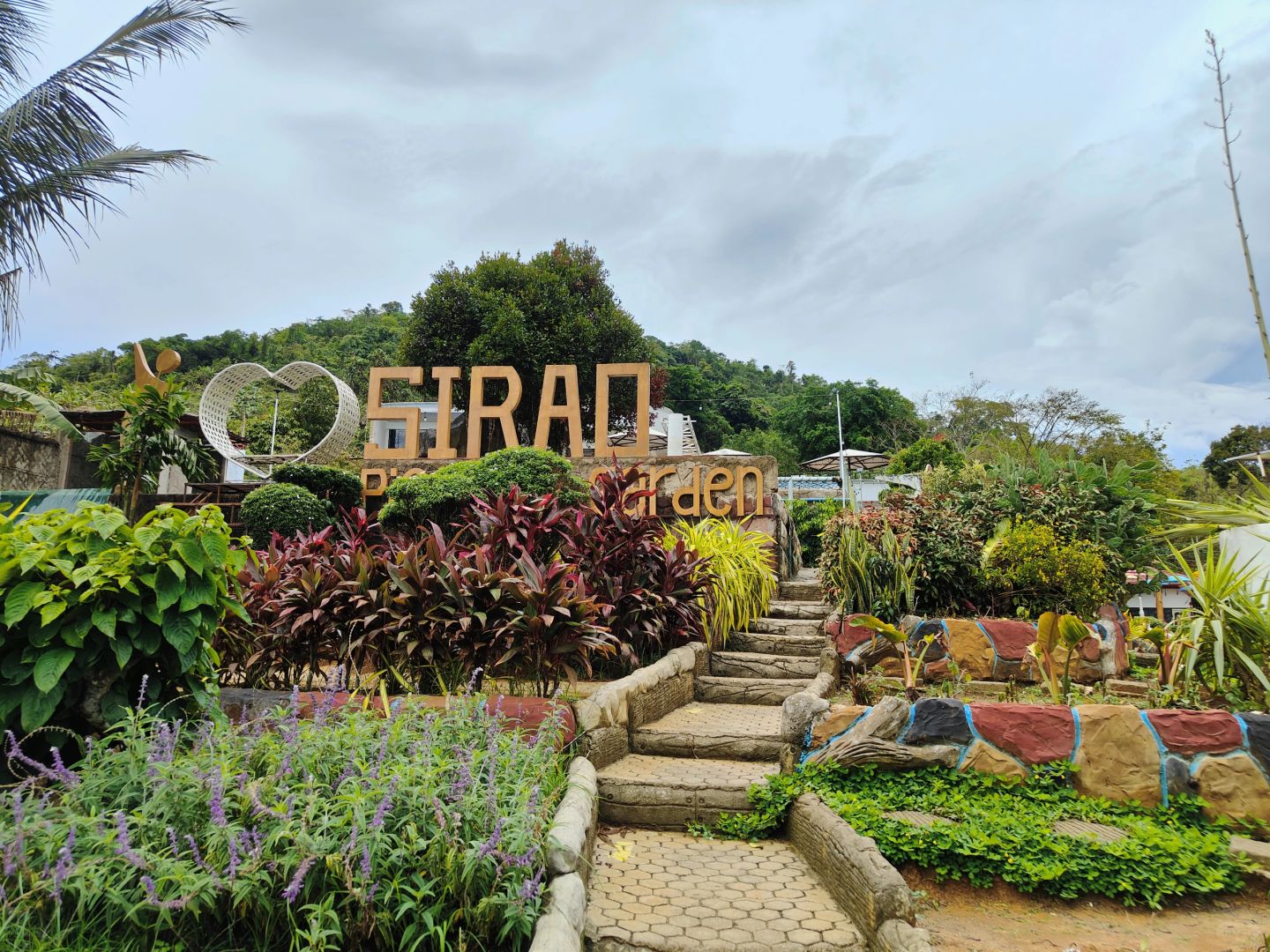 Cebu-Visit Sirao Garden in Cebu Mountain on weekends. 🌸The ticket is a small red flower stamp