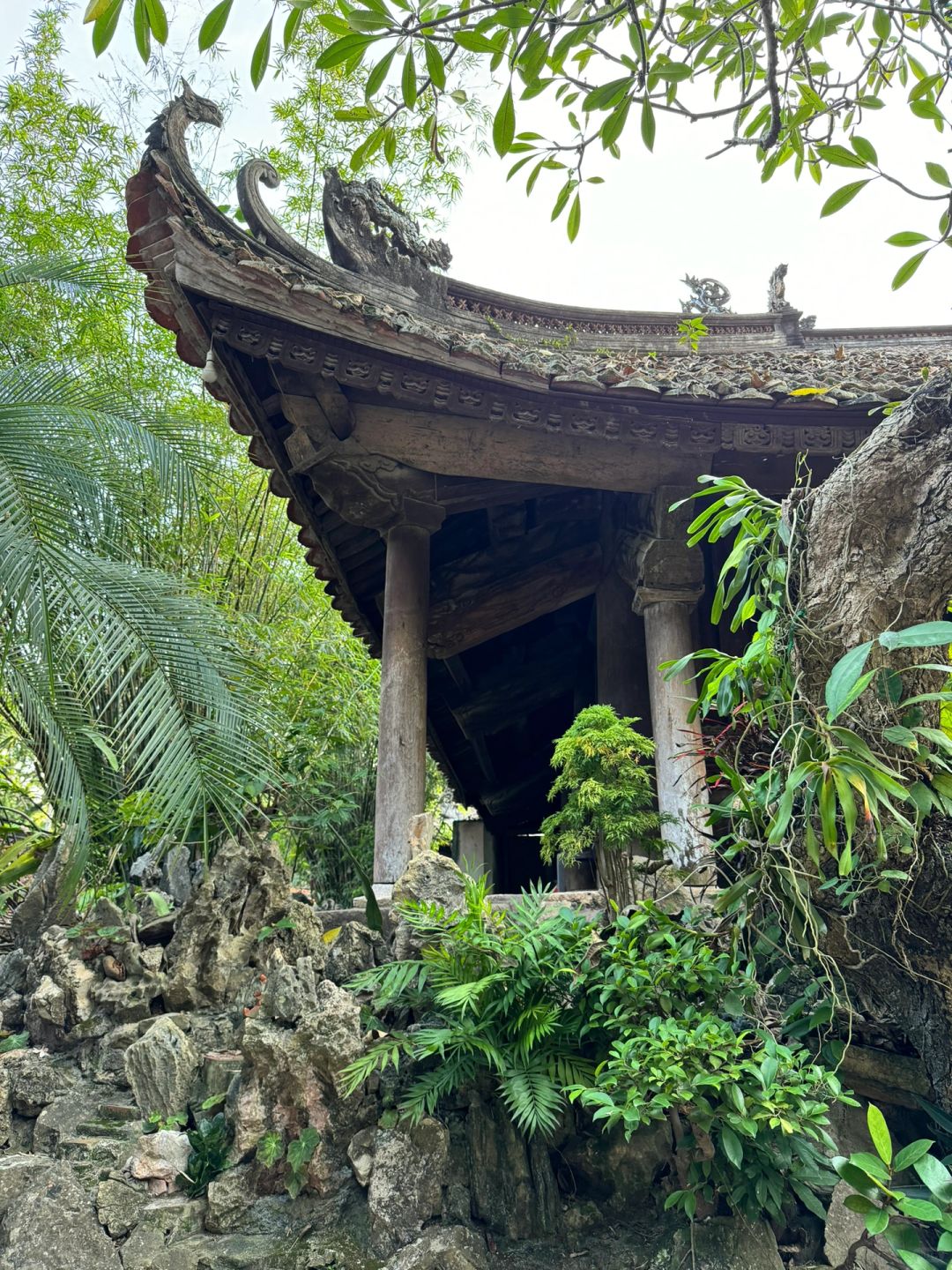 Hanoi-Thien Phuoc Temple in Hanoi, 300 years old, 🌋suitable for lovers of ancient architecture