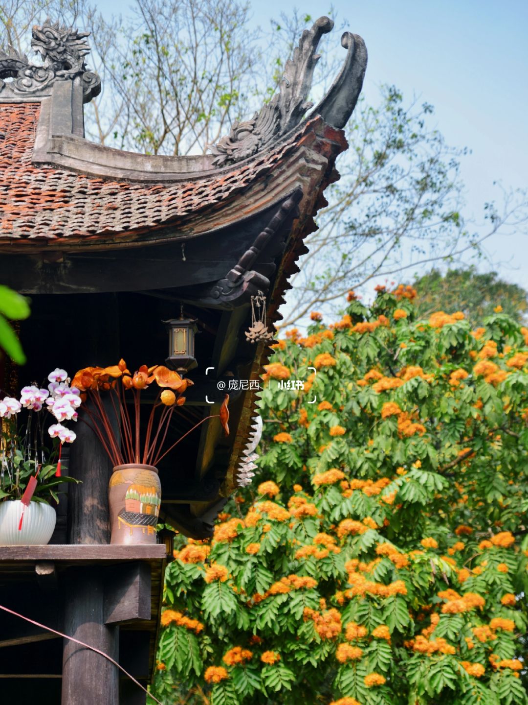 Hanoi-The most amazing ancient temple in Hanoi, where one pillar supports the entire building