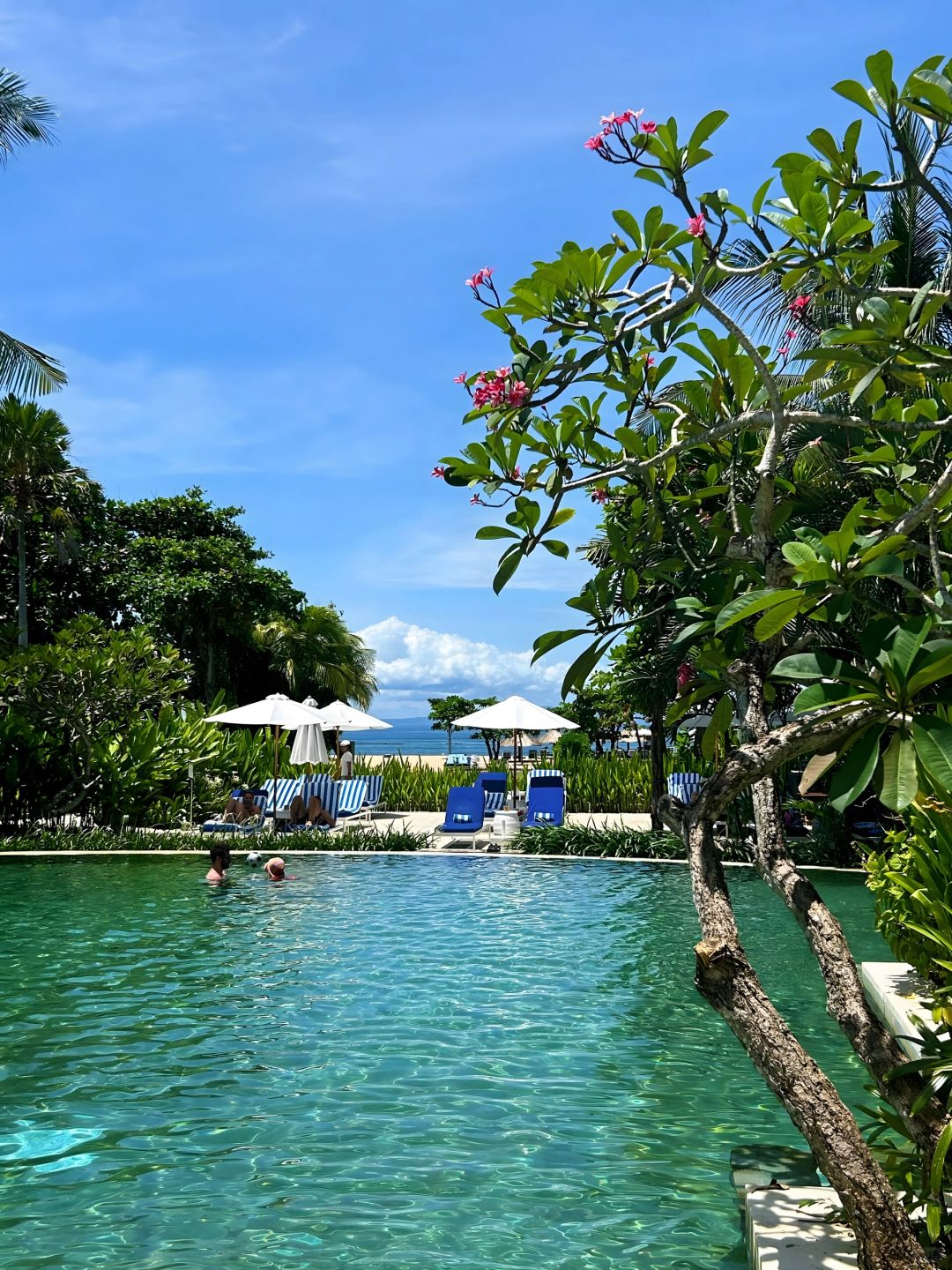 Bali-Sofitel Bali Nusa Dua Resort, 💛room with plunge pool experience floating breakfast