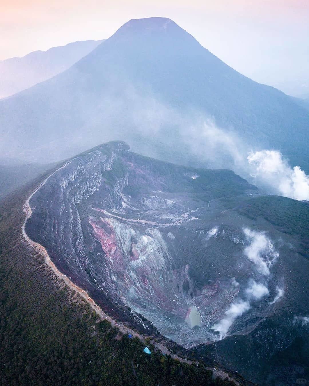 Jakarta-Hike to Mount Gede in West Java?, Jakarta, Indonesia, home to a variety of local wildlife