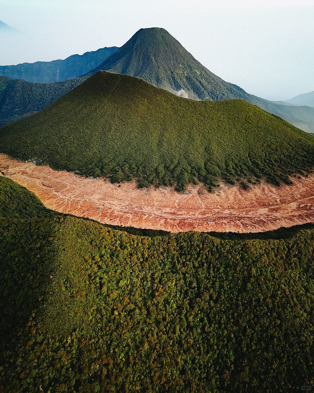 Jakarta-Hike to Mount Gede in West Java🌋, Jakarta, Indonesia, home to a variety of local wildlife