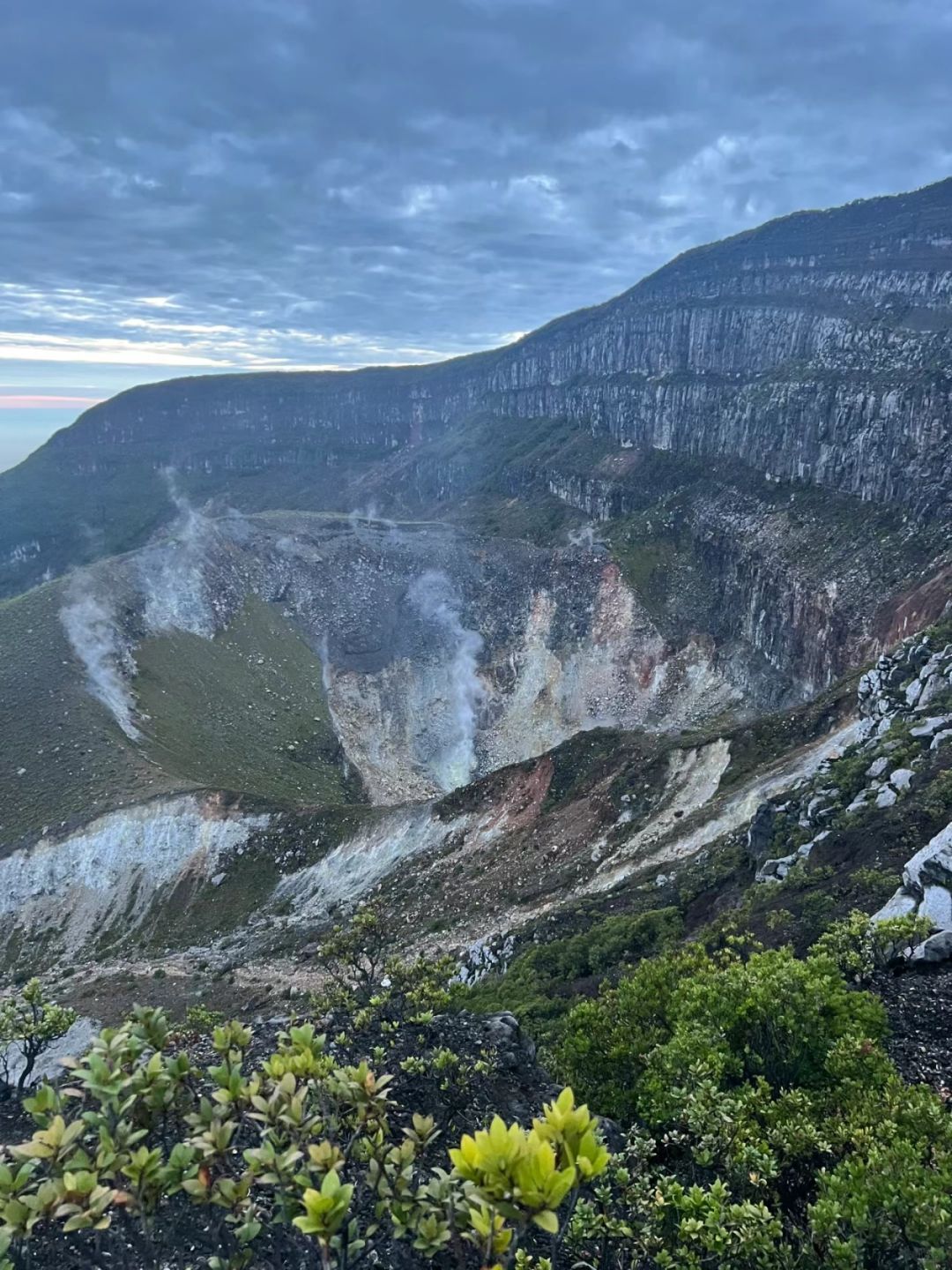 Jakarta-Hike to Mount Gede in West Java?, Jakarta, Indonesia, home to a variety of local wildlife