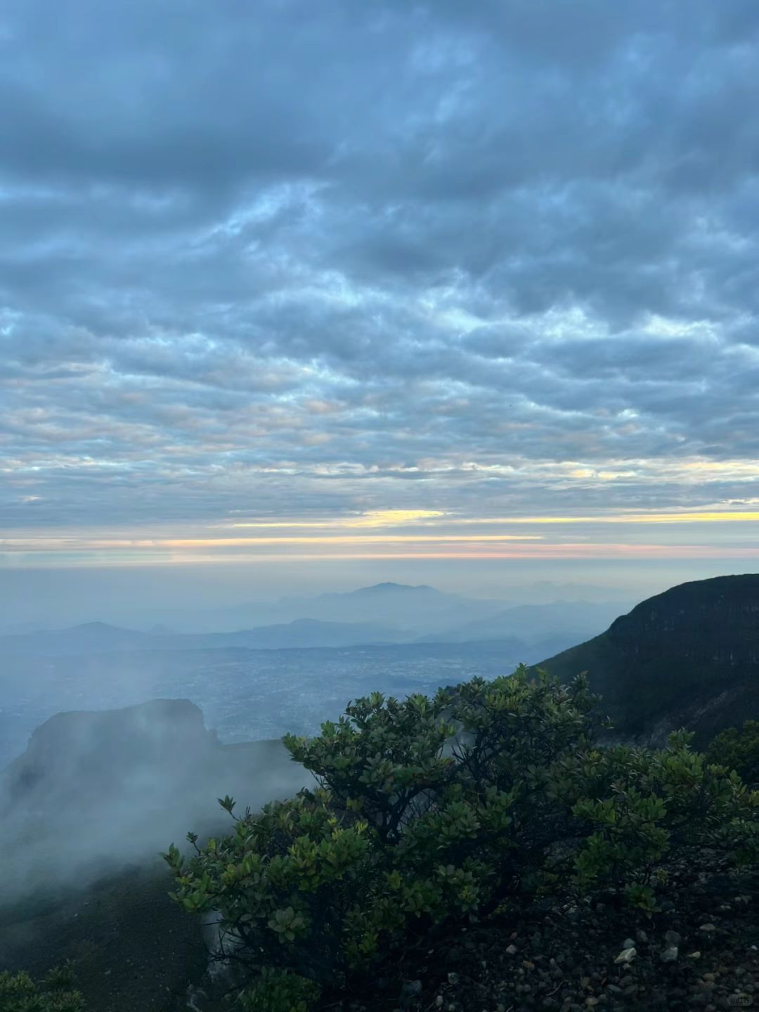 Jakarta-Hike to Mount Gede in West Java🌋, Jakarta, Indonesia, home to a variety of local wildlife