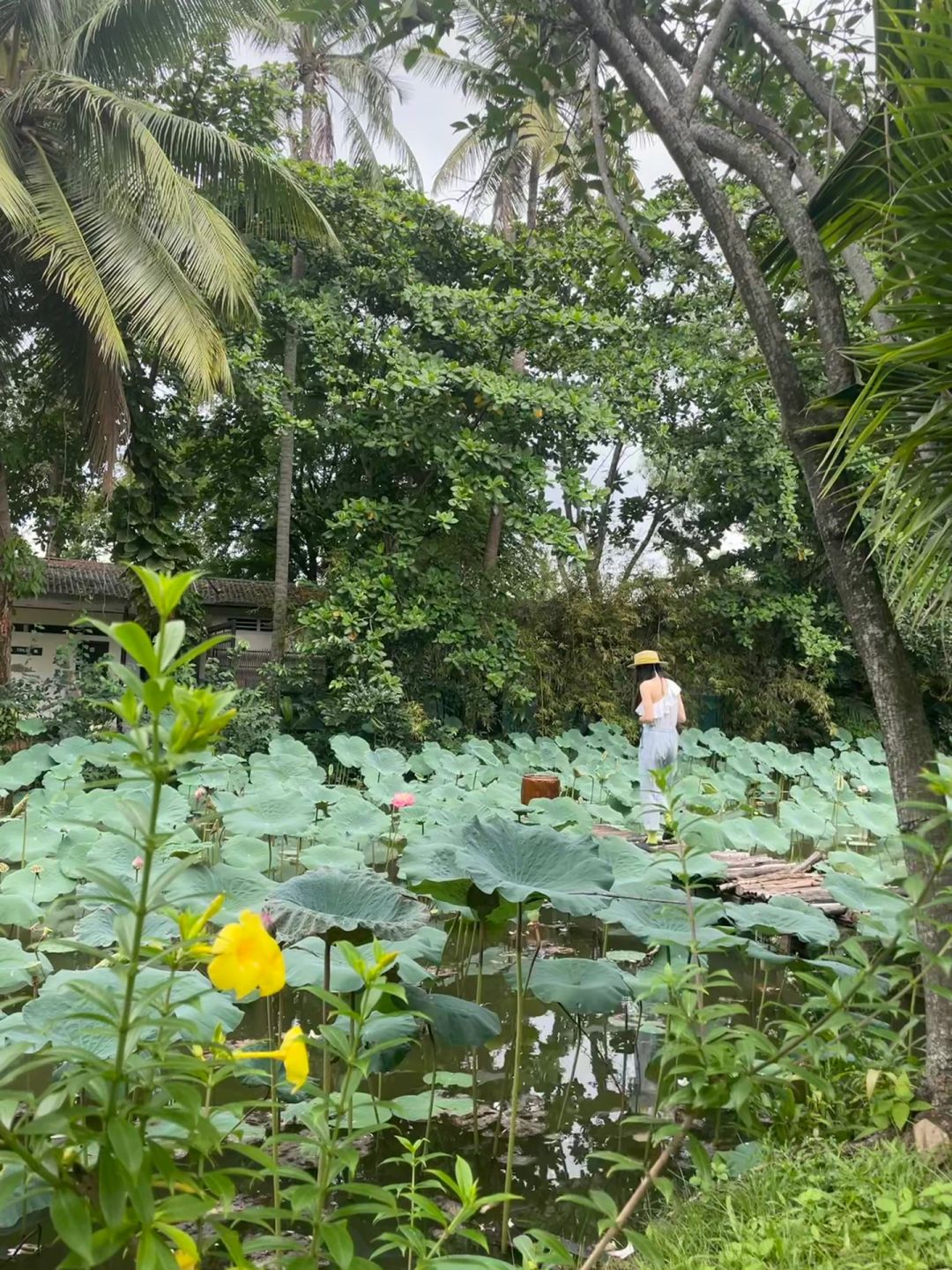 Ho Chi Minh-Binh Quoi Village Park in Ho Chi Minh City feels like returning to the rainforest of Ubud, Bali