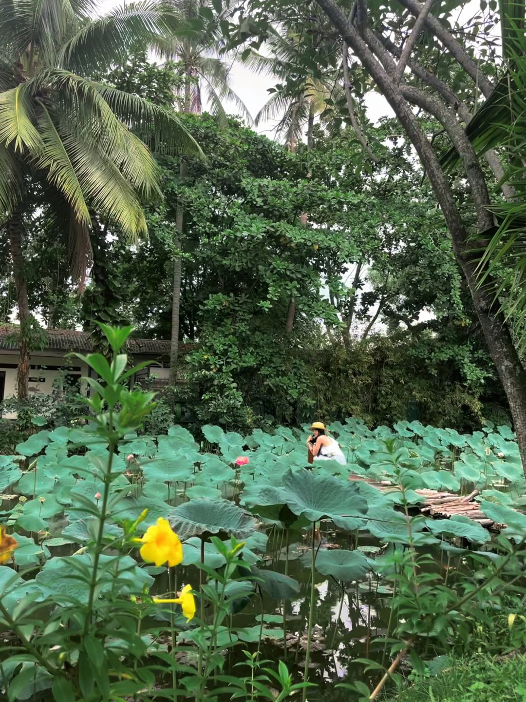 Ho Chi Minh-Binh Quoi Village Park in Ho Chi Minh City feels like returning to the rainforest of Ubud, Bali