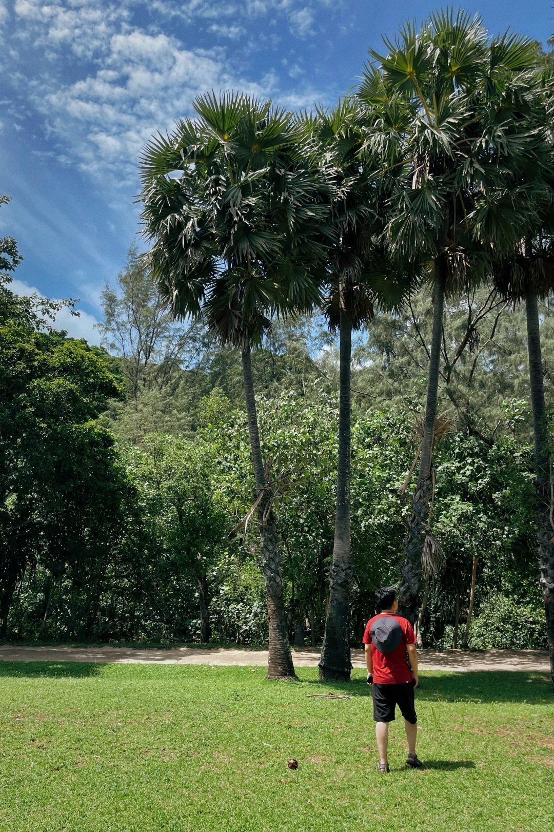 Krabi-Visit Mu Koh Lanta National Park on Krabi Island and see the happy life of lizards and monkeys