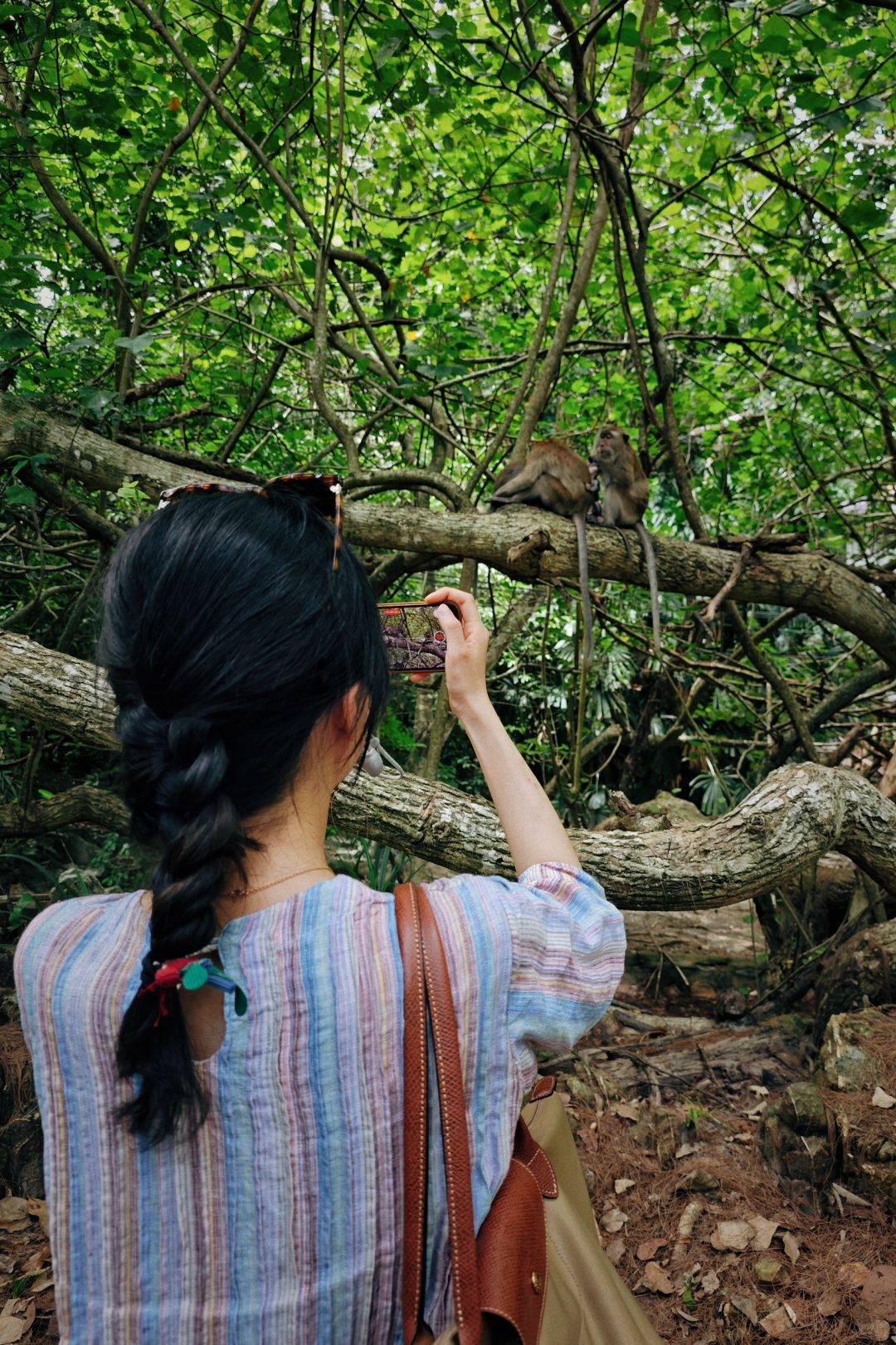 Krabi-Visit Mu Koh Lanta National Park on Krabi Island and see the happy life of lizards and monkeys