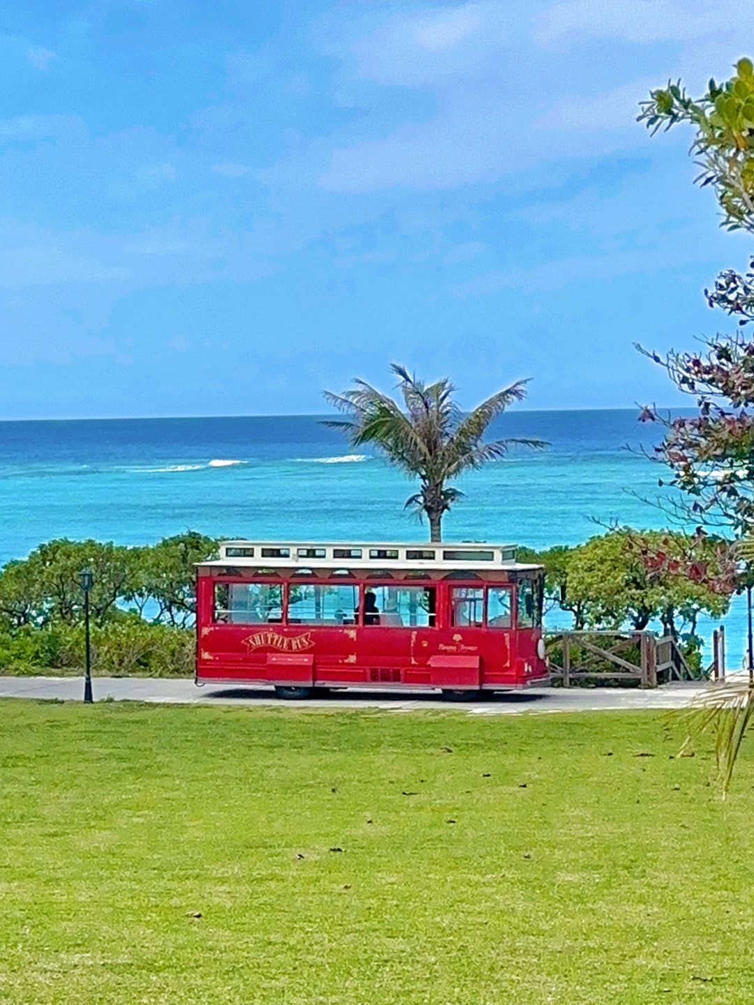 Okinawa-Okinawa Marine Park, her beauty is comparable to Australia's Great Barrier Reef