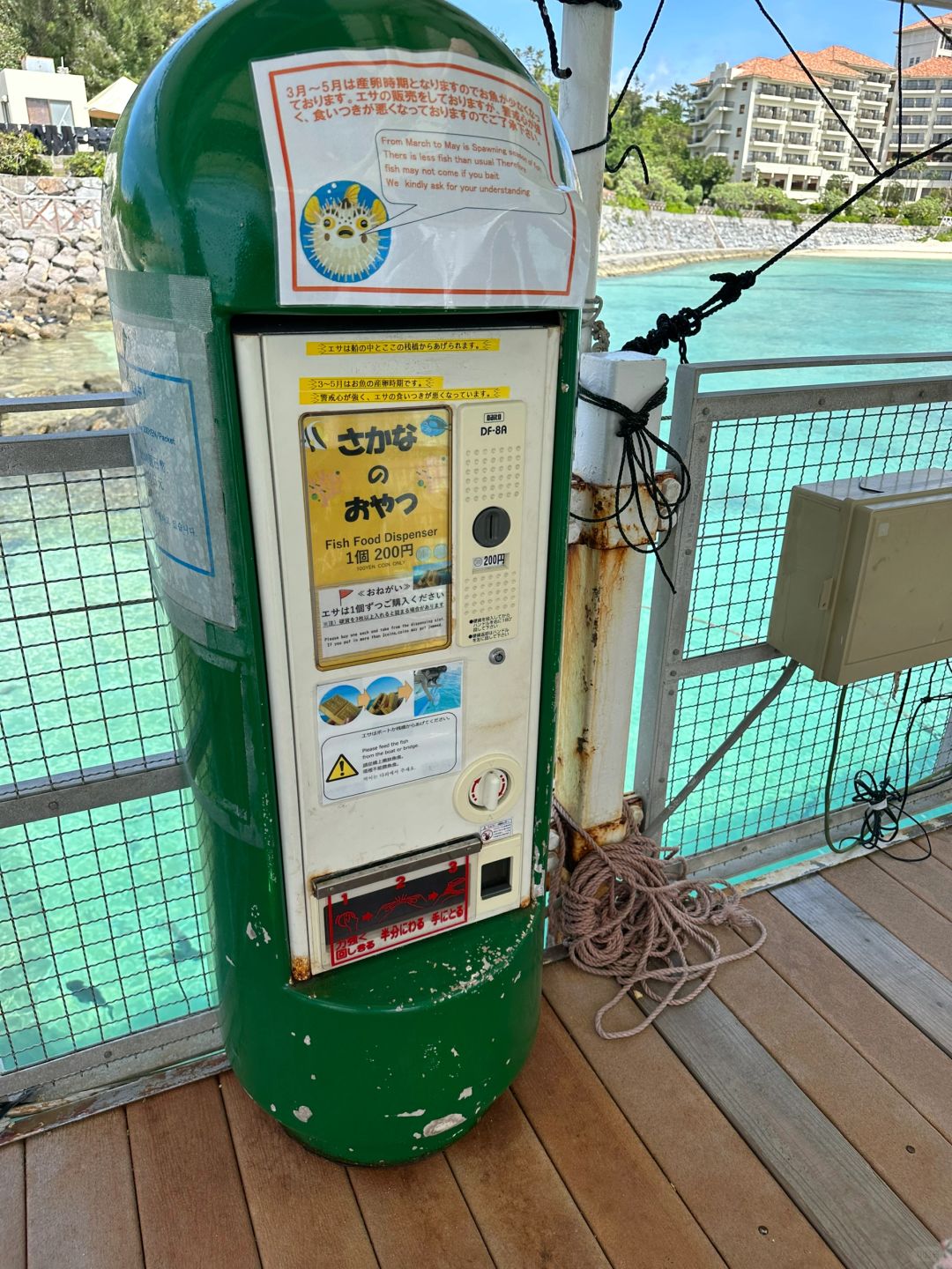 Okinawa-Okinawa Marine Park, her beauty is comparable to Australia's Great Barrier Reef