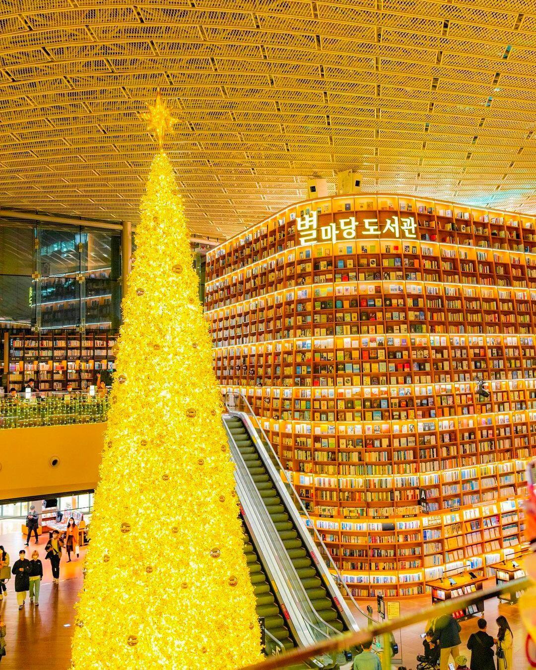 Seoul-Christmas travel in Seoul, Lotte World and COEX Starfield Library are not to be missed