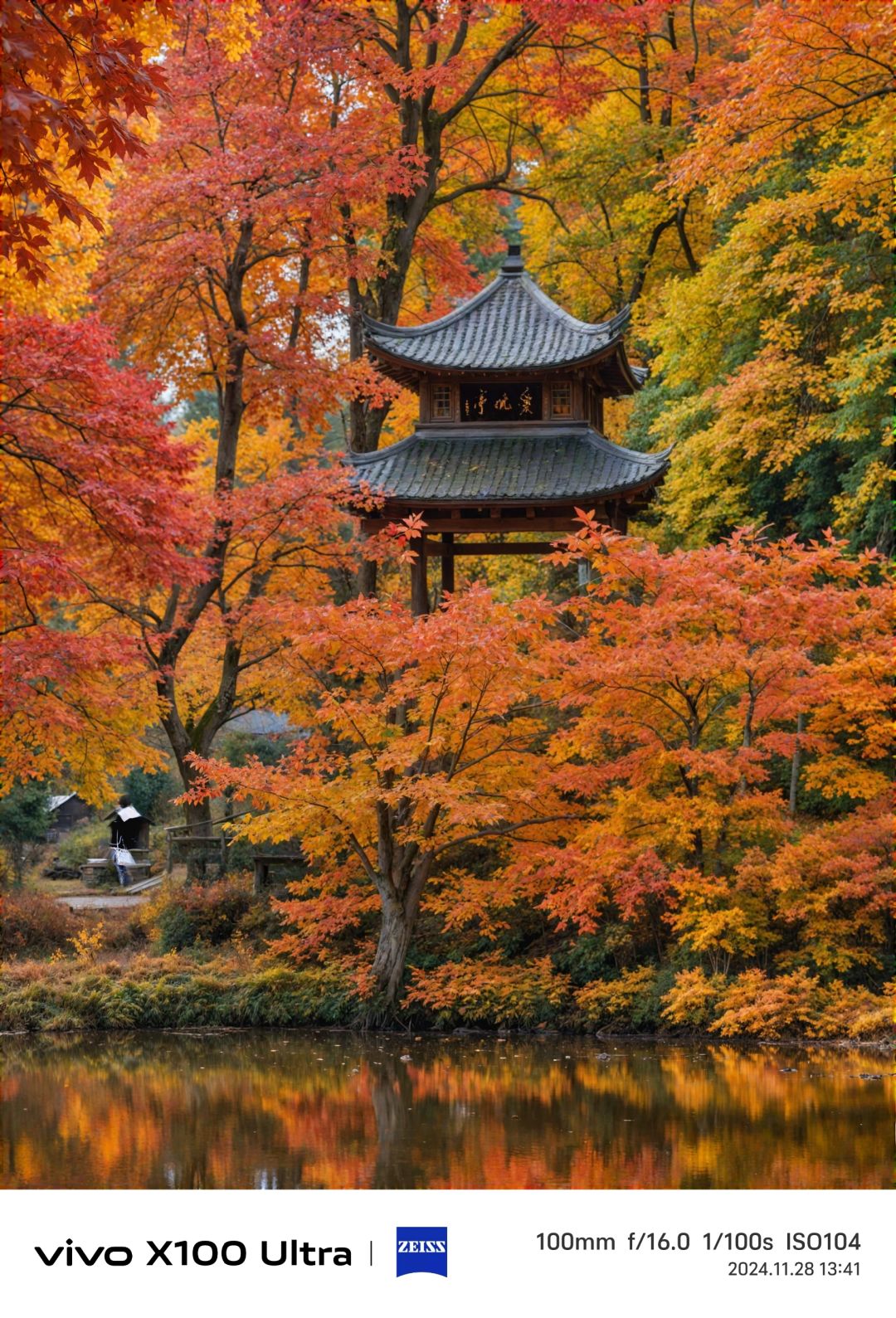 Hunan-Changsha Lushan boasts one of the most beautiful red leaf scenery in all of China!