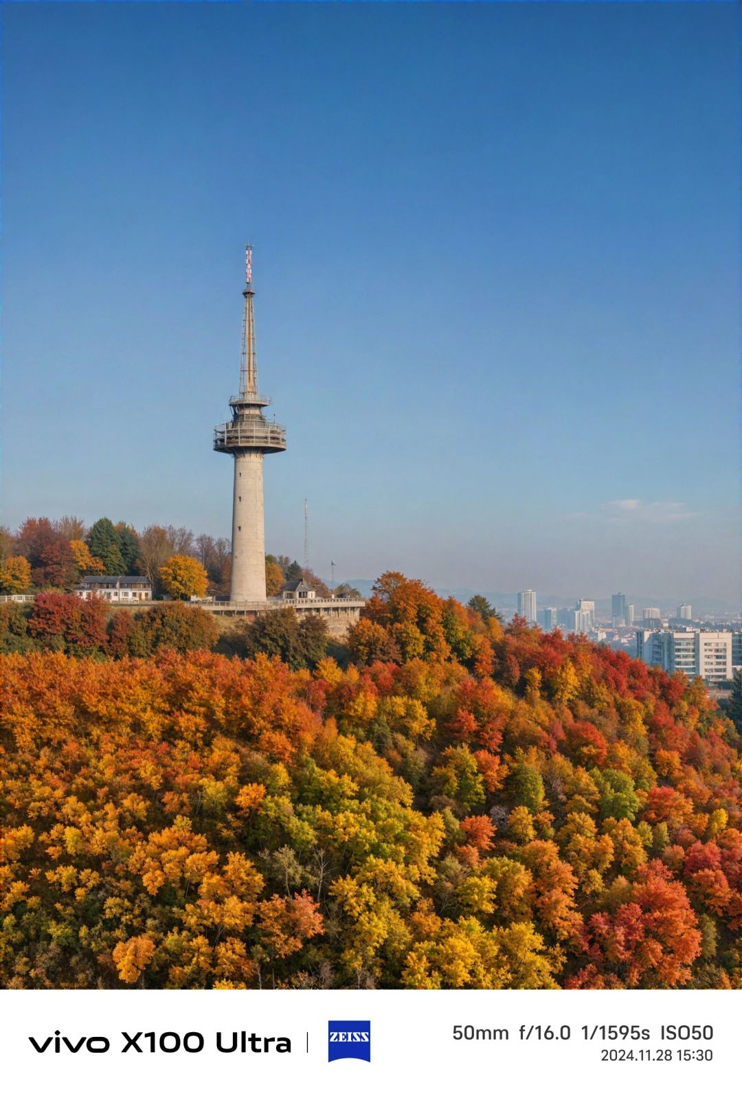 Hunan-Changsha Lushan boasts one of the most beautiful red leaf scenery in all of China!