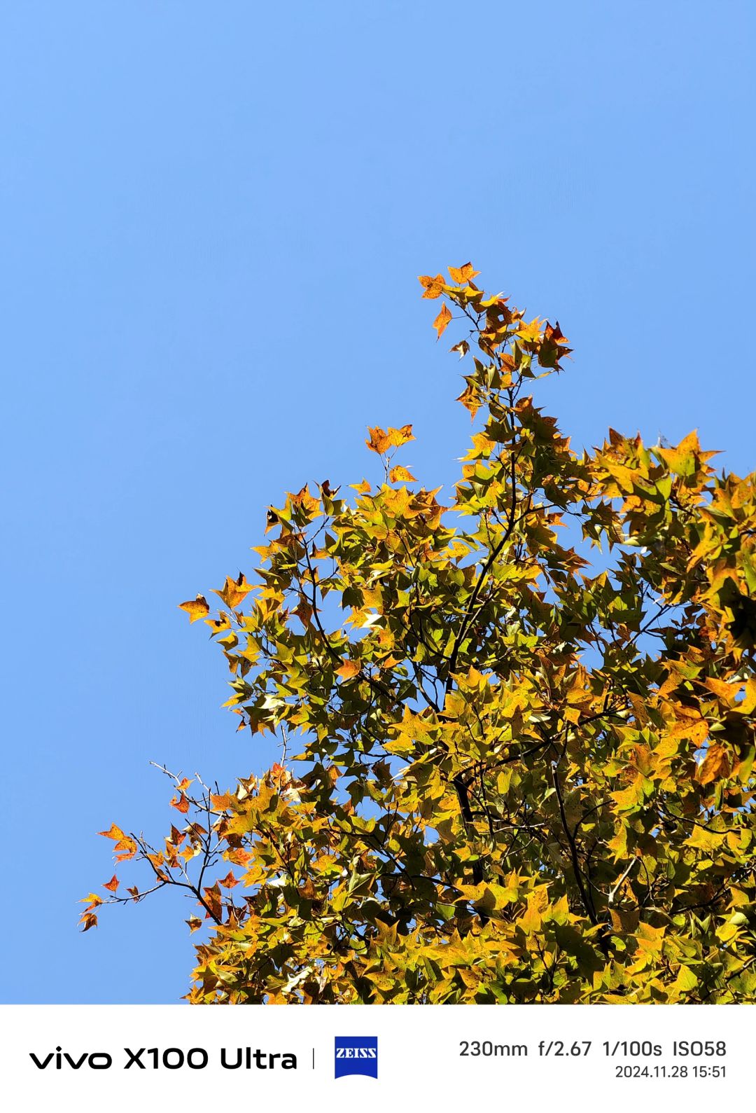 Hunan-Changsha Lushan boasts one of the most beautiful red leaf scenery in all of China!