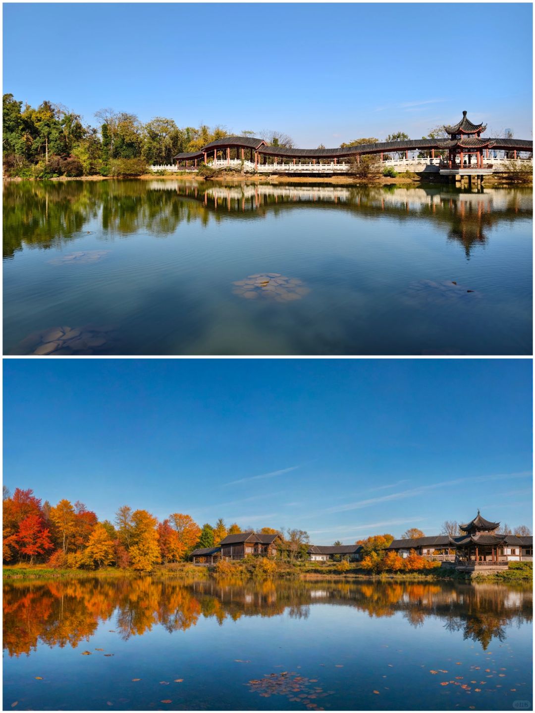 Hunan-Changsha Lushan boasts one of the most beautiful red leaf scenery in all of China!