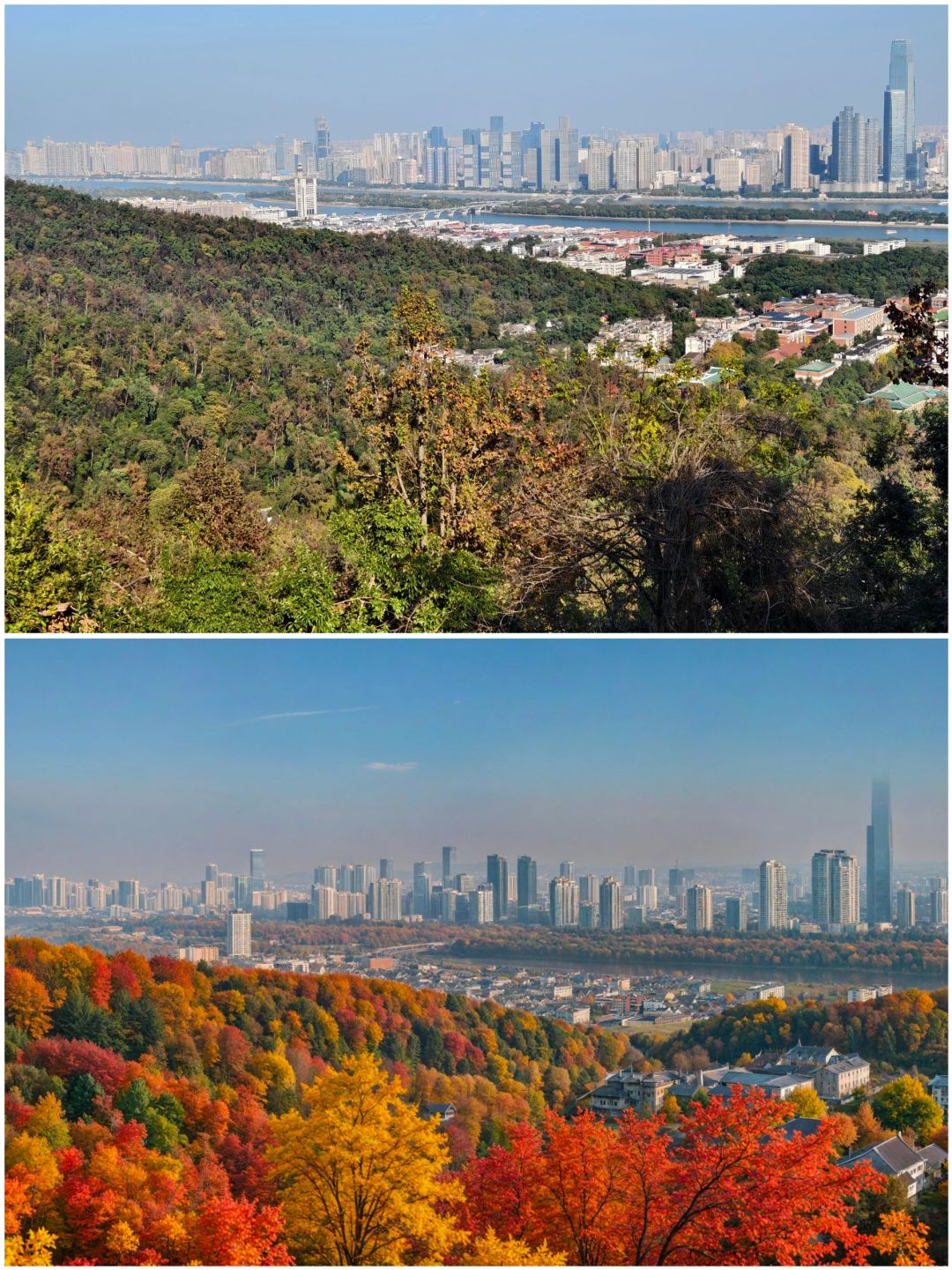 Hunan-Changsha Lushan boasts one of the most beautiful red leaf scenery in all of China!