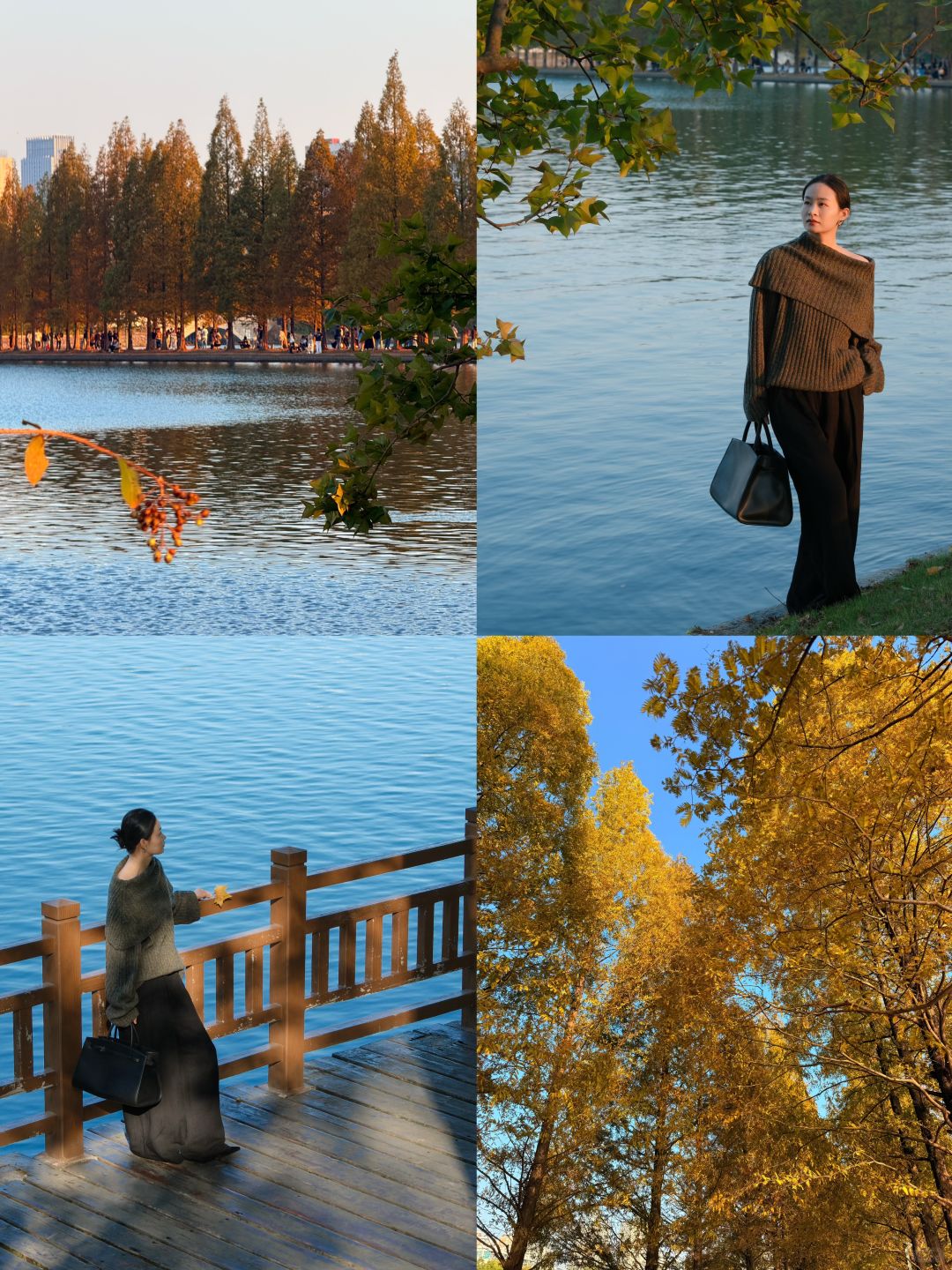 Hunan-Here are three favorite parks for locals in Changsha in autumn, which tourists must not miss!