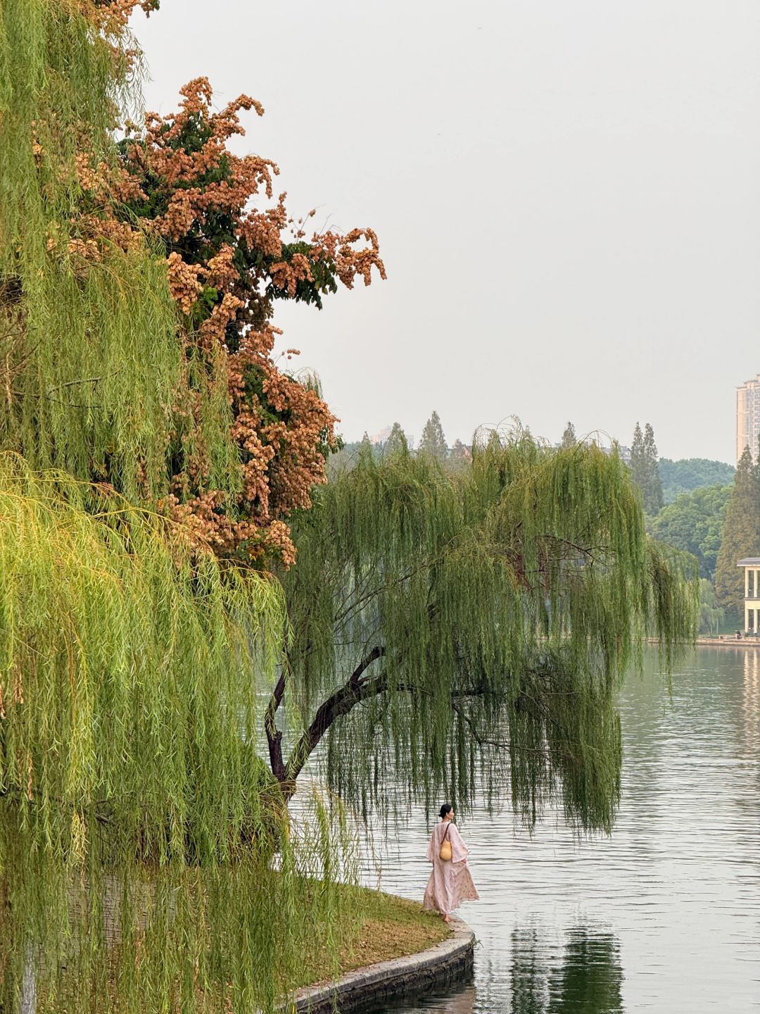 Hunan-Here are three favorite parks for locals in Changsha in autumn, which tourists must not miss!