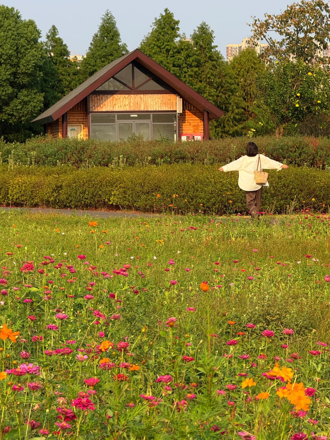 Hunan-Here are three favorite parks for locals in Changsha in autumn, which tourists must not miss!