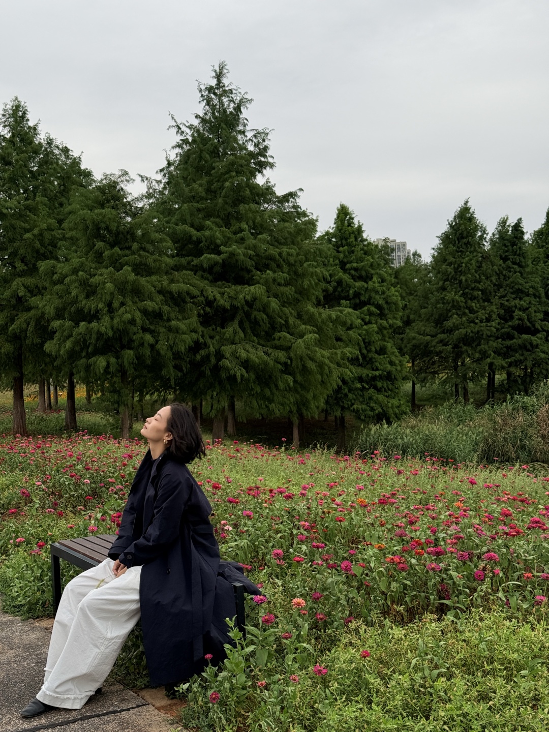 Hunan-Here are three favorite parks for locals in Changsha in autumn, which tourists must not miss!