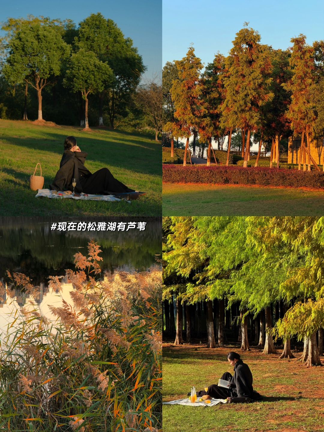 Hunan-Here are three favorite parks for locals in Changsha in autumn, which tourists must not miss!