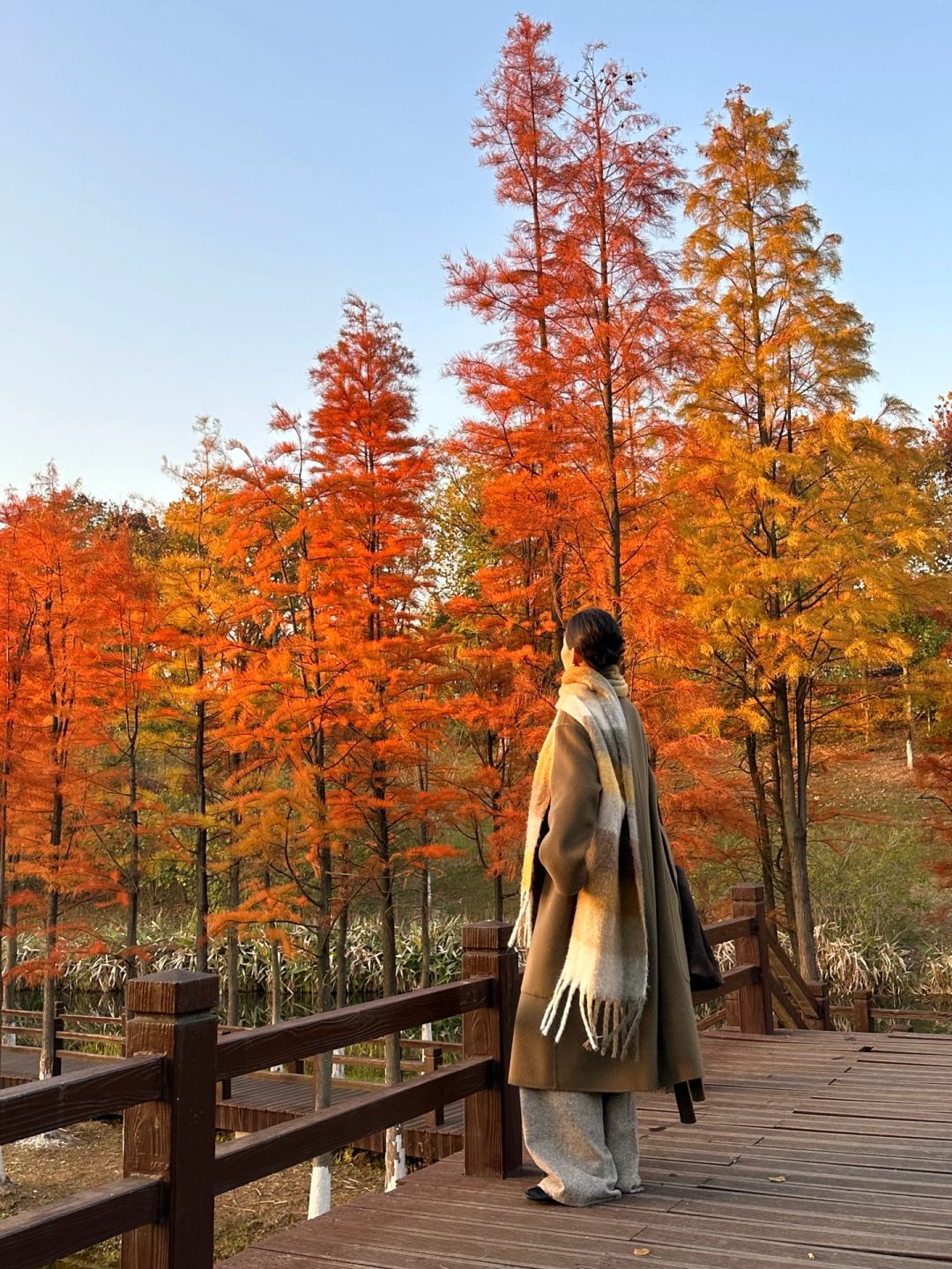 Hunan-Here are three favorite parks for locals in Changsha in autumn, which tourists must not miss!