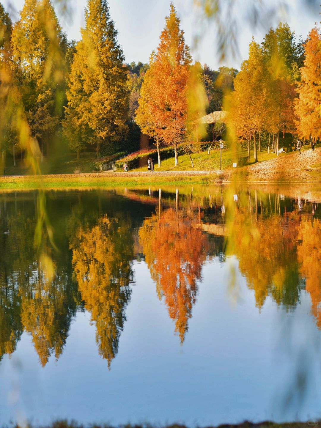 Hunan-Changsha Ecological Garden Park, a niche attraction perfect for learning photography.