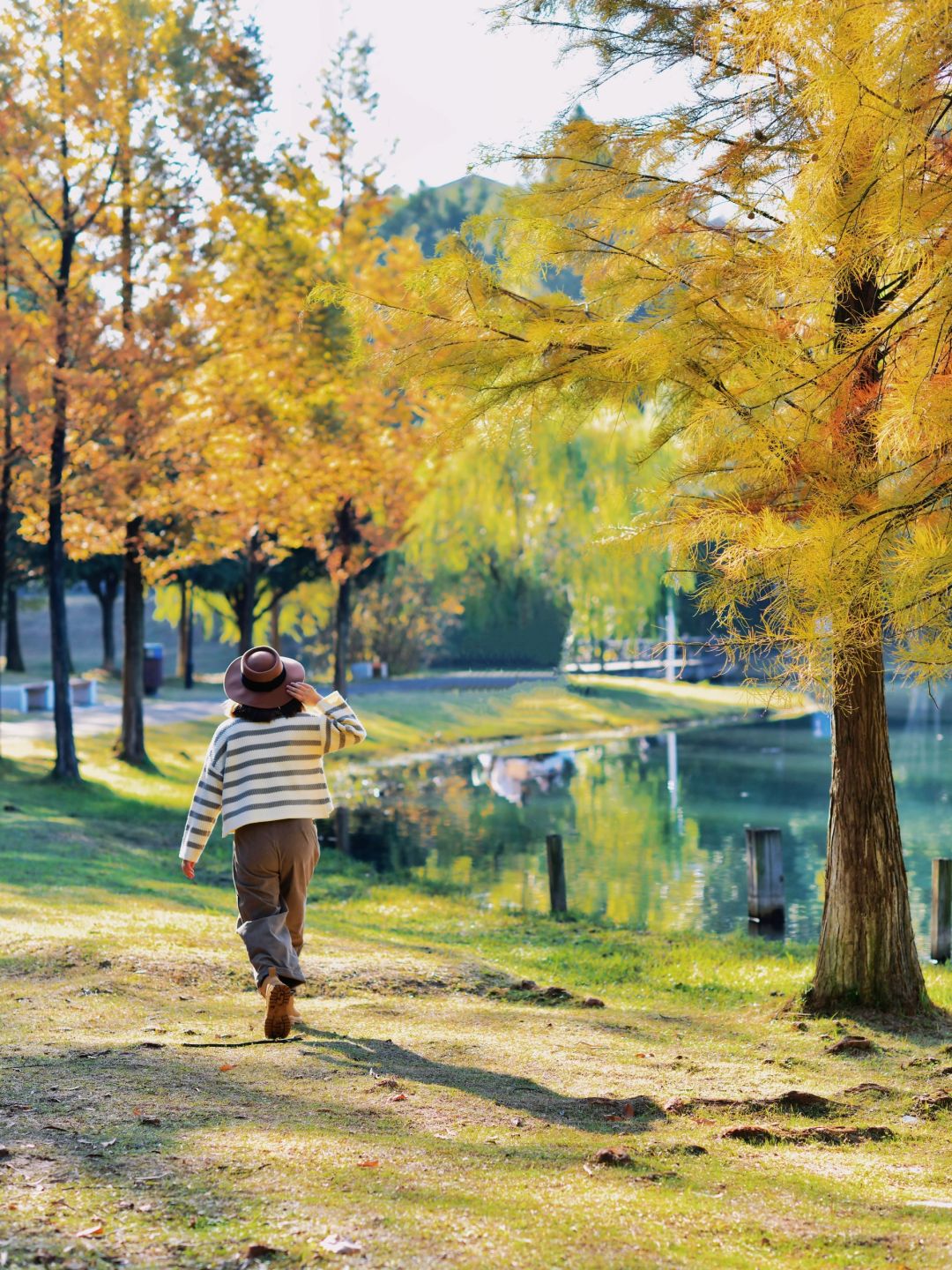 Hunan-Changsha Ecological Garden Park, a niche attraction perfect for learning photography.