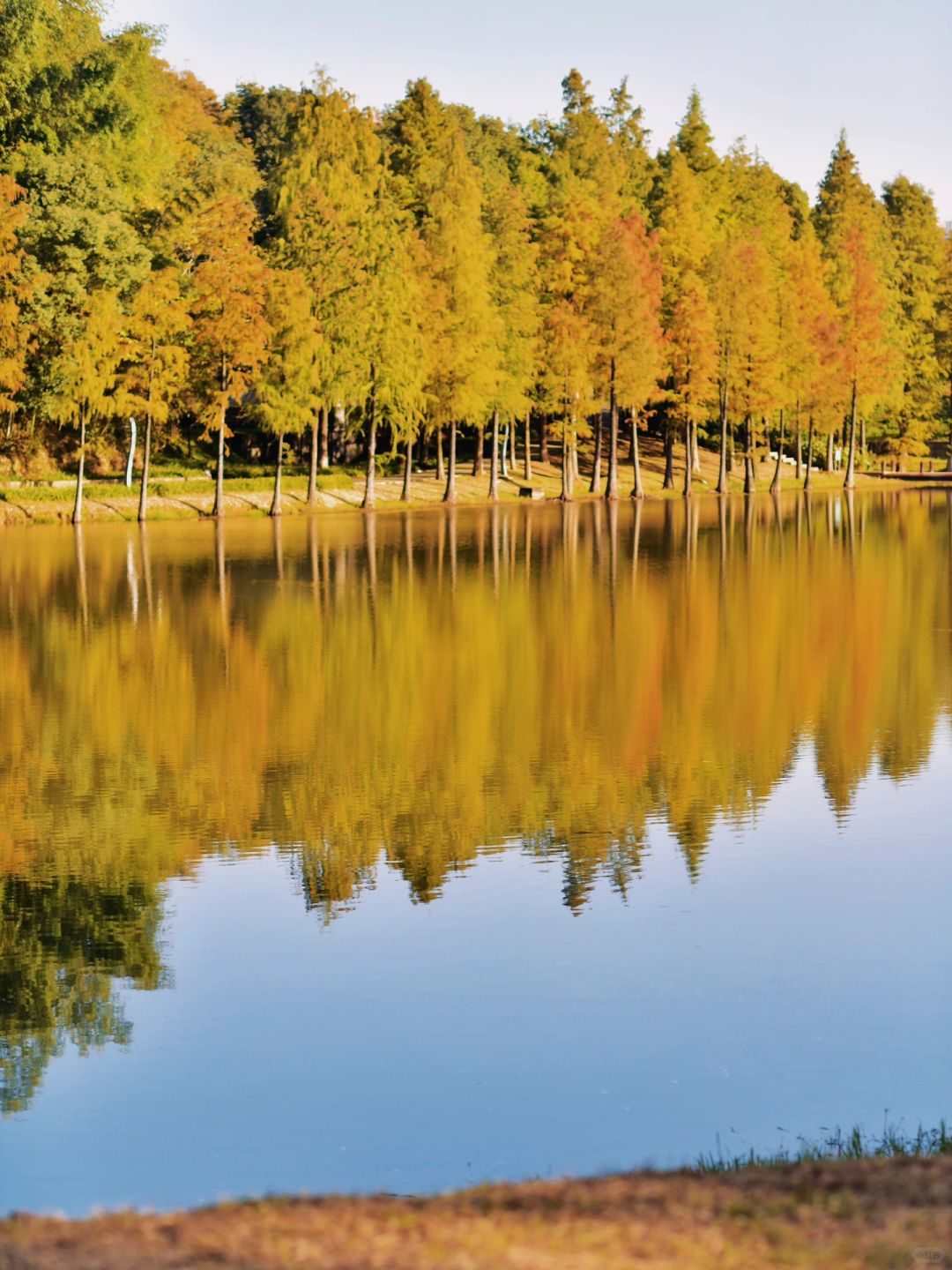 Hunan-Changsha Ecological Garden Park, a niche attraction perfect for learning photography.