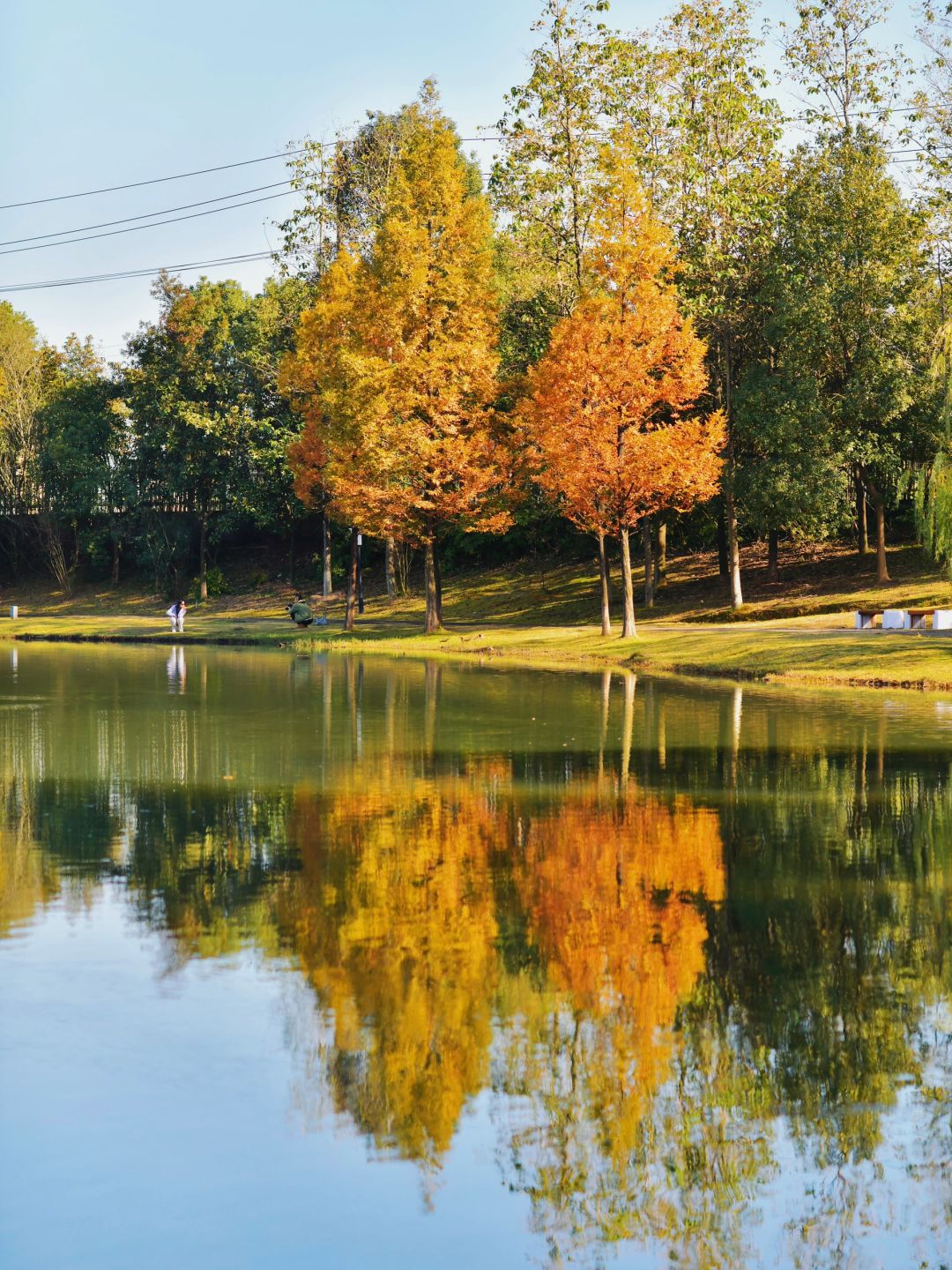 Hunan-Changsha Ecological Garden Park, a niche attraction perfect for learning photography.