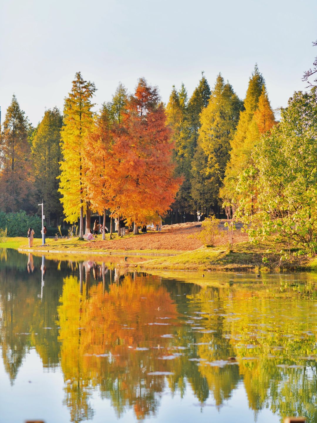 Hunan-Changsha Ecological Garden Park, a niche attraction perfect for learning photography.